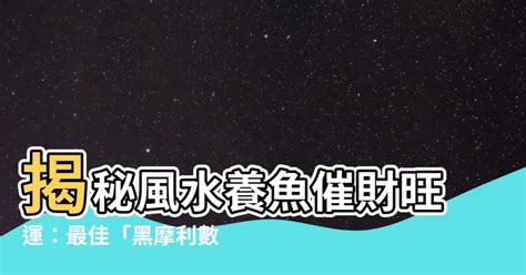 黑摩利點養|【黑摩利點養】黑摩利點養攻略，招財進寶助運勢